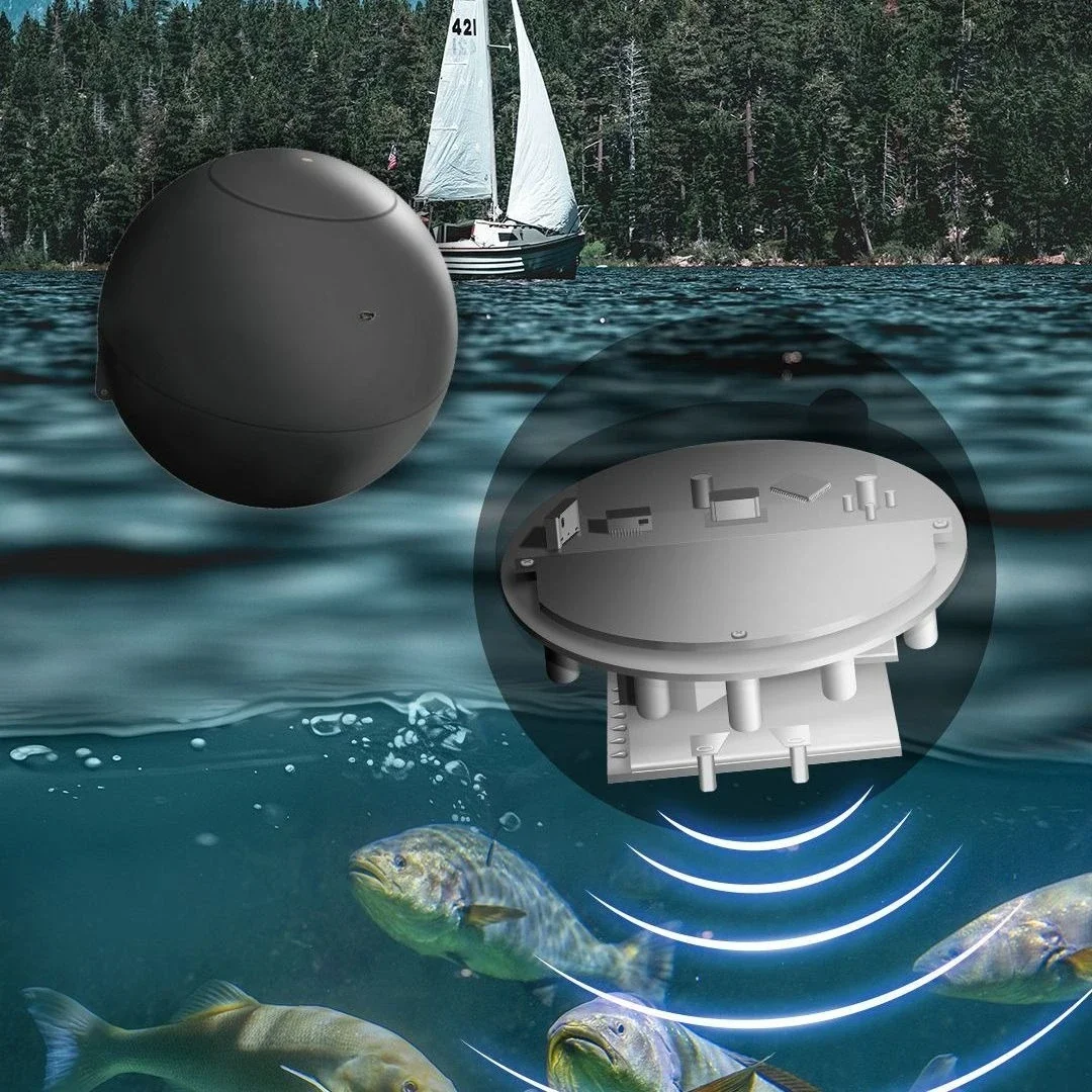 Fishing Light - Smart sonar fish detector, light and